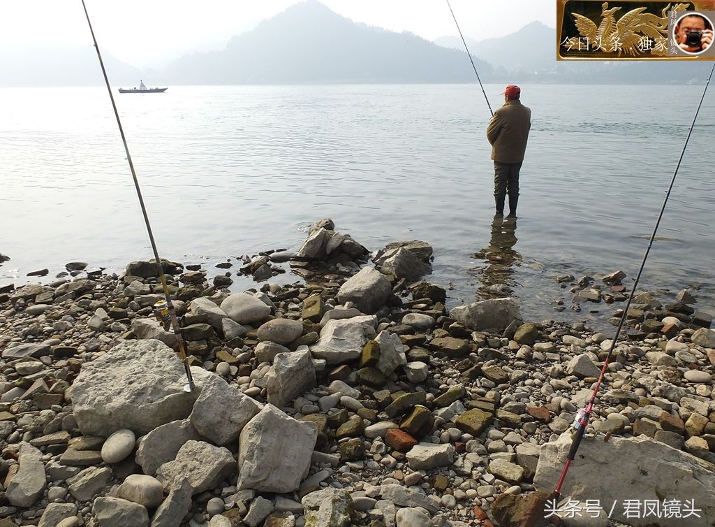 湖北宜昌:钓鱼爱好者在长江岸边钓鱼,看,有人钓到鳡鱼