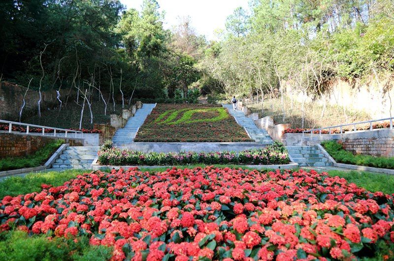 广西中医药大学又增靓丽新景观:仙葫药圃