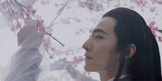 三生三世, 我看吐了