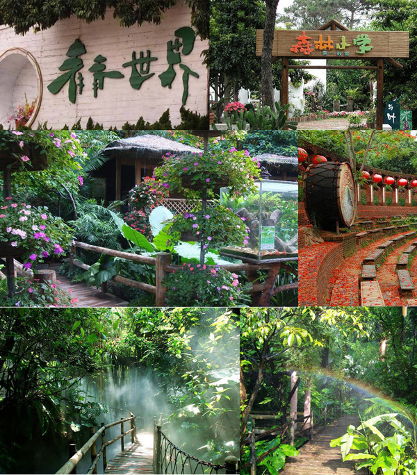 深圳青青世界旅游攻略