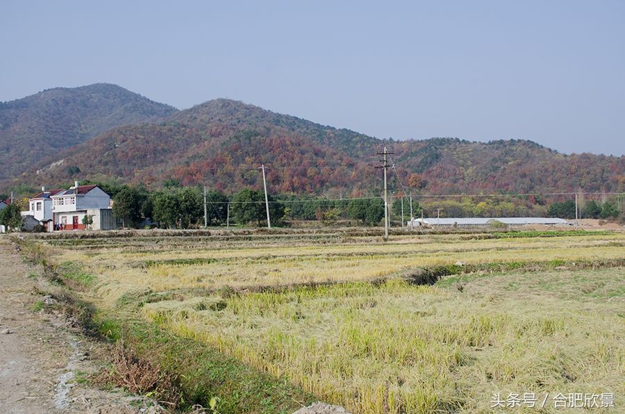 2017年12月2日,合肥庐江县柯坦镇蒲岗村,这个有山有水有田有地的秀丽