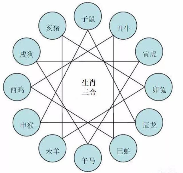 三合是"明合",犹如母子之情,属相三合的人各方面的契合度高,换句话说