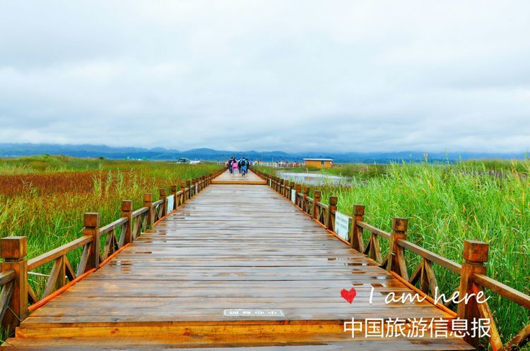 视野开阔的威宁草海步道一角