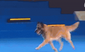 超搞笑gif:妹子你别激动,不就是得个奖么!不至于这样哈哈哈!