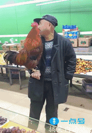 搞笑gif 还拽来拽去就太过分了, 哥们儿好好活着不好吗