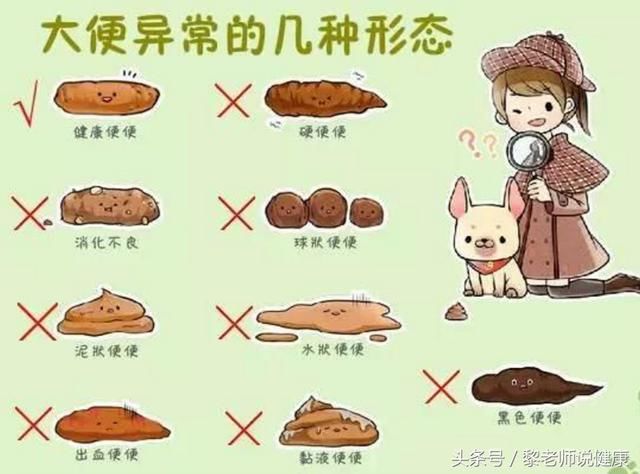 大便形状,颜色,气味代表你身体健康是10分还是1分!千万留意!