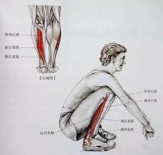 小腿拉伸18个姿势,告别疙瘩腿就这么拉伸!