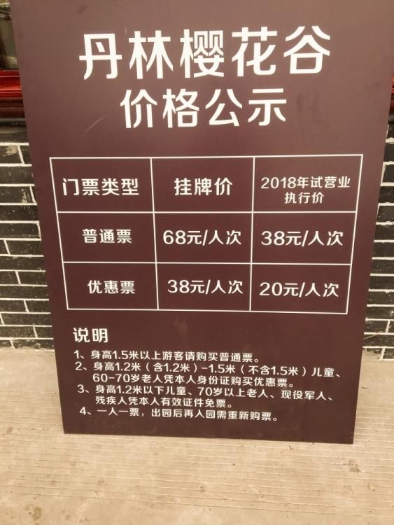 泸州樱花谷的樱花开啦,满树浪漫,如云似霞!