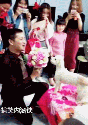 搞笑gif 喂孩子吃辅食了 这个神器看样子很不错啊