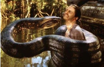 世界上最大的蟒蛇目击记录,身长50米,轻松吞下一个人