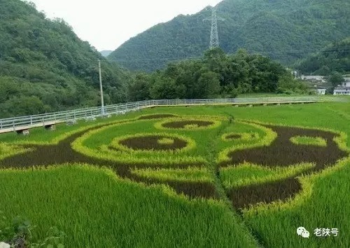 紧邻西汉高速的佛坪县大河坝镇三河口移民新村,一栋栋整齐划一,漂亮