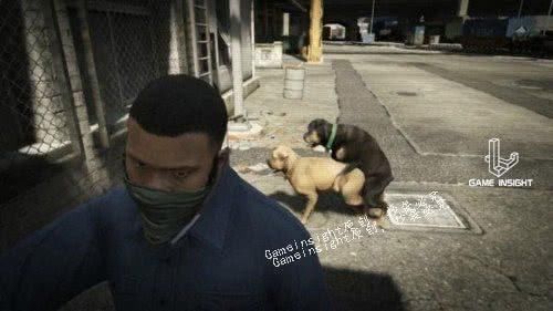 盘点《gta5》奇葩又搞笑的自拍照,有些令人无力吐槽!