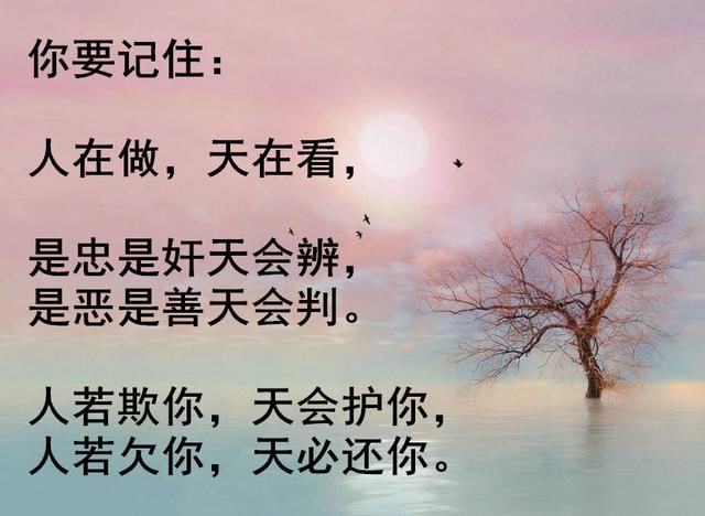 人若欠你,天必还你,世间有因果,善恶各有报!