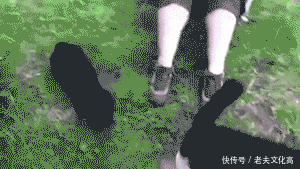 搞笑gif: 艺术家的表白方式总是这么不经意间, 真受不