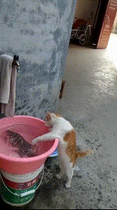 记得以前的一次相亲,女方是我一哥们儿的表妹,在相亲之前他跟我说,他