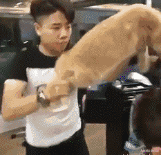 爆笑gif动图:妹妹,好可爱,这表情我给满分