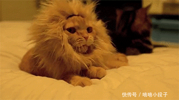 爆笑gif:看到这孩子的表情,你们自己脑补下台词吧