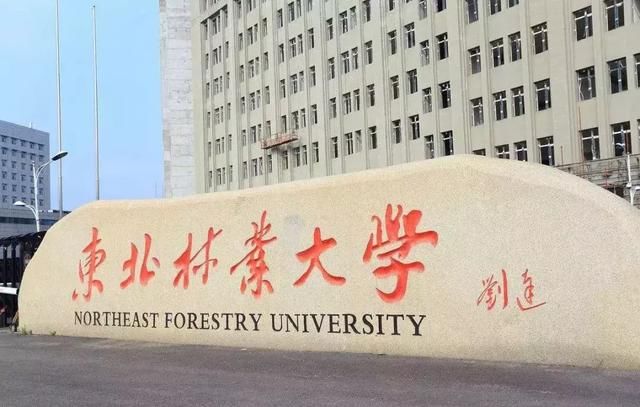 6. 新疆大学