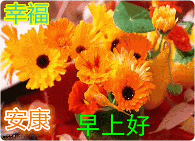 早上好,一声问候,一份祝福,送给我最牵挂的你!