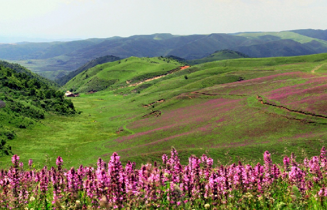 2017年张家川县关山文化旅游节开幕