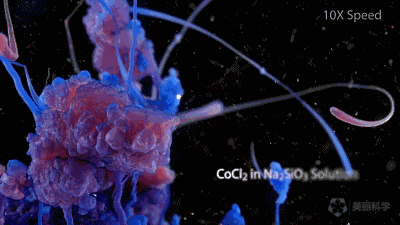 中国学霸用化学方程式拍片,拿国际大奖