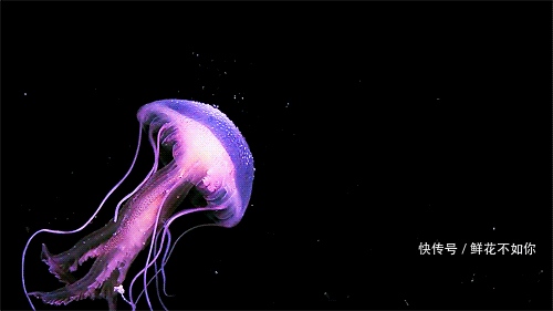 500_281