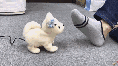 而且会通过动作表情告诉你. 哇塞,主人你的脚好香啊