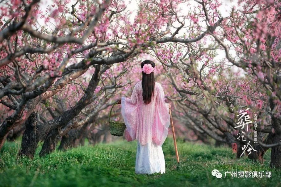 3月17-18日 桃花古风人像 连平鹰嘴桃花 龙南小武当风光人像摄影采风