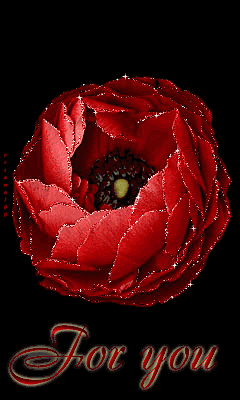 周末祝福,愿你的心情像花一样绽放,越早打开越好!太漂亮了!