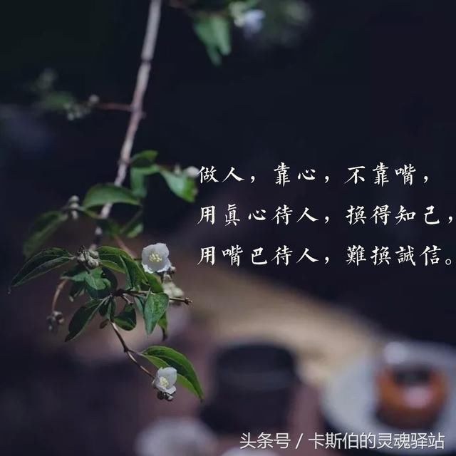做人,靠心,不靠嘴!