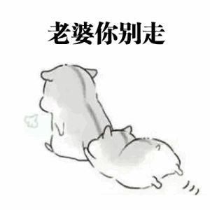 撩对方的时候使用,不知道说什么的时候,就来点表情包吧~ 首先是老婆用