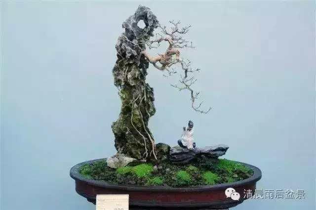 一组自然奇特的抱石头盆景作品欣赏