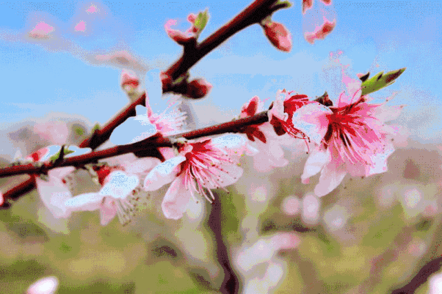 转发本条微信到朋友圈,集赞30个