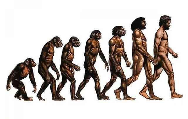 如果地球演化重新来过,很可能不会进化出人类