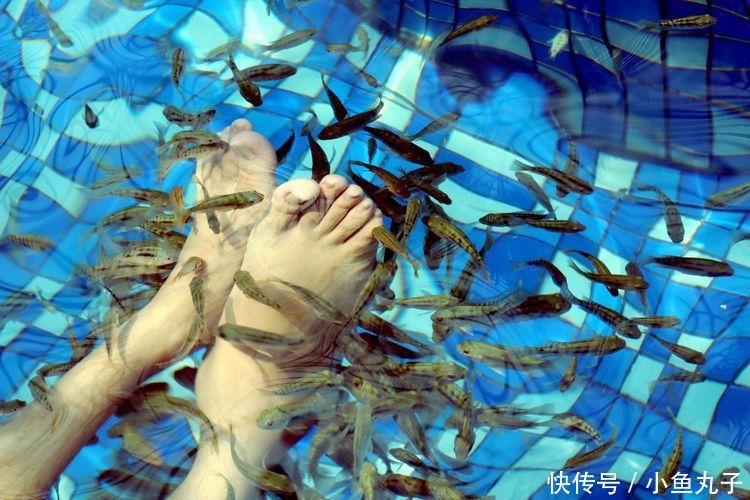 女子和朋友一起做鱼疗,途中感觉身上不对劲,知道原因后悔