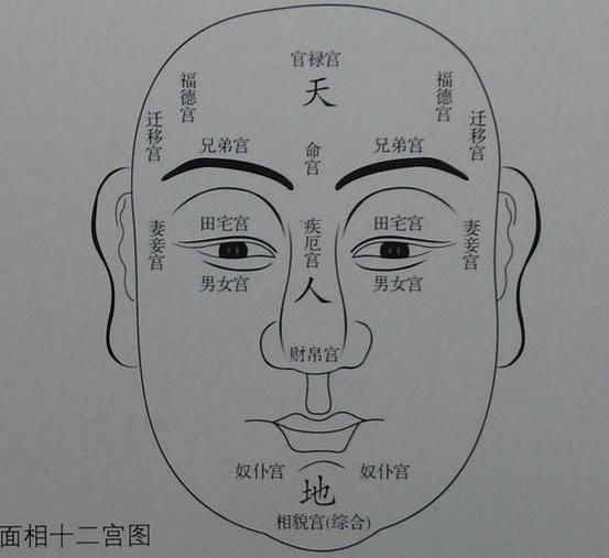 经典古相法《太清神鉴》详论面相"五岳四渎与五官六府