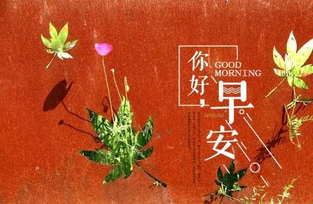 心情好,什么都好,愿你天天都有好心情!早安!