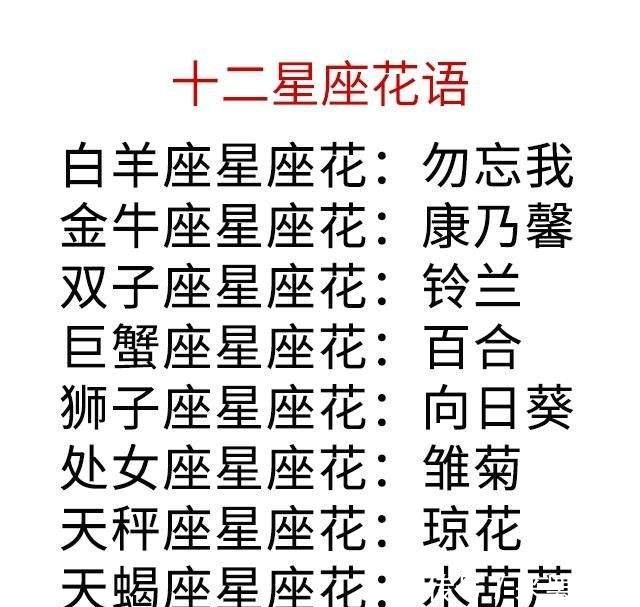 巨蟹座星座花——百合 天秤座星座花——琼花 射手座星座花——天堂鸟
