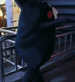 搞笑gif趣图:一只生无可恋的鹅,只因遇到了熊孩子这个