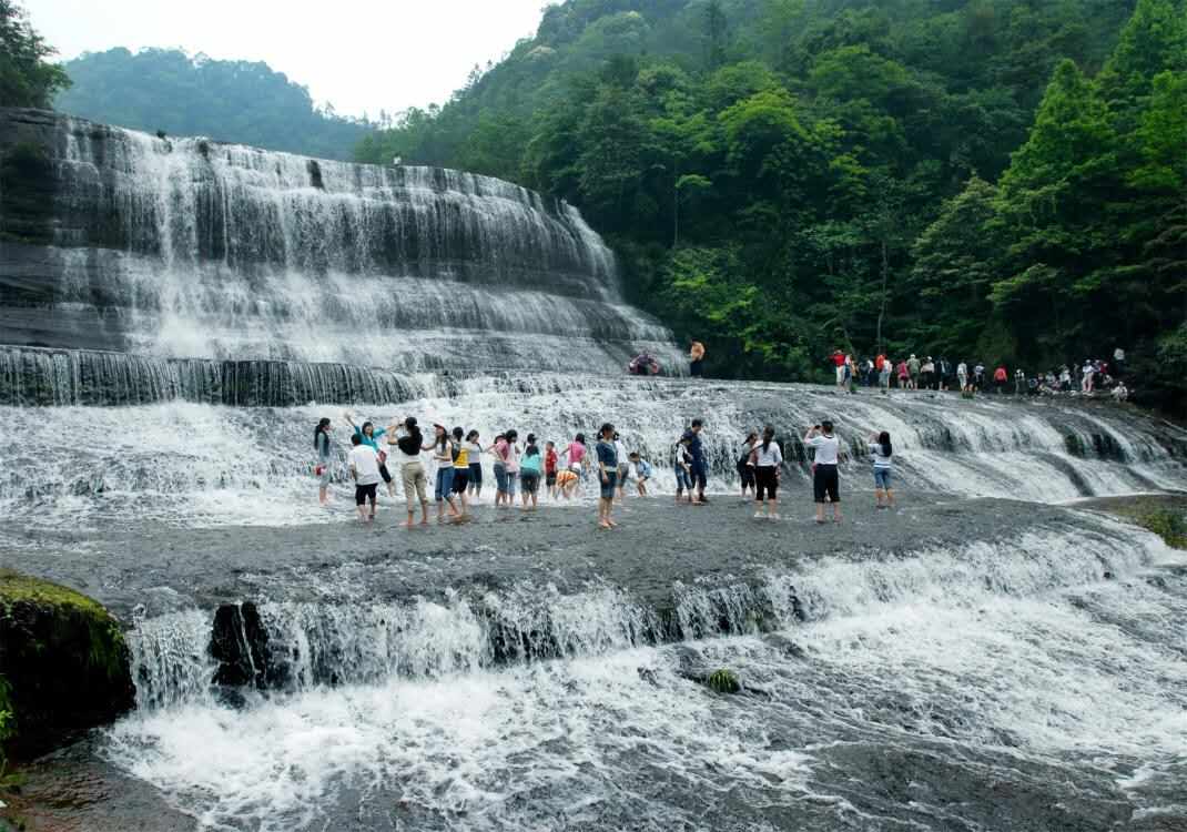 黄荆老林美爆了-四川又添一个国家森林公园