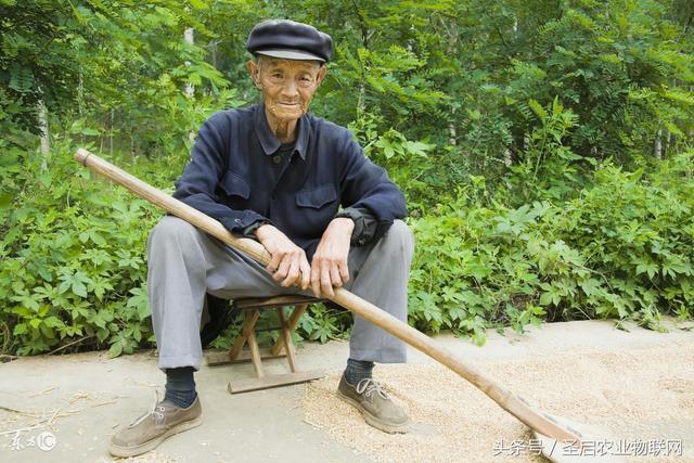 他身上有着所有中国农民的典型特征:朴实,憨厚,还有那么一股执拗劲儿.