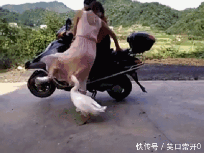 搞笑幽默的动态图gif 美女的背影 深深的迷住了我