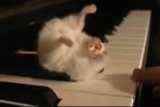 搞笑gif图段子:趁女朋友睡觉,脸上画了个乌龟,绑了个气球!