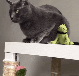 搞笑段子笑话gif趣图:新婚不久,老婆没做过家务