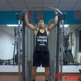 一 引体向上 动作要领: 1 两臂悬垂在单杆上,两手宽握距