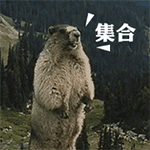 搞笑gif:伙计,你套个杯子有啥用嘞?