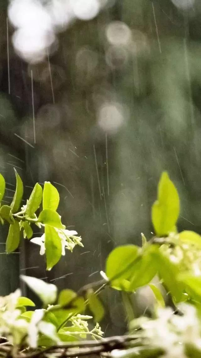 拍雨秘籍|怎么拍出雨的意境?看了就想马上去拍!