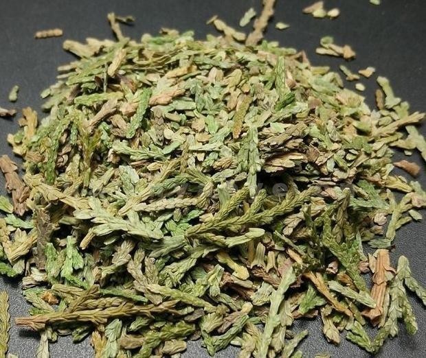 老中医收藏的4味中药,生发养发,去头屑有奇效!