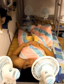 搞笑gif:哥们,你一个人开四个风扇可真享福!