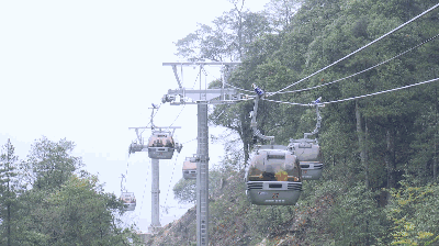 央视强势围观龙泉山景区缆车通车!关注龙泉生态旅游